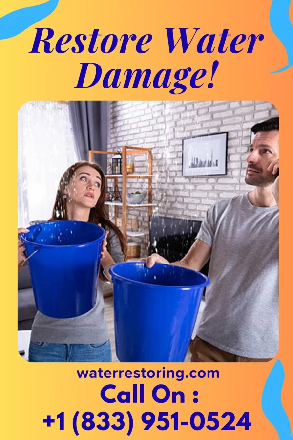 water restoration Capital Water Repair Co Chesapeake