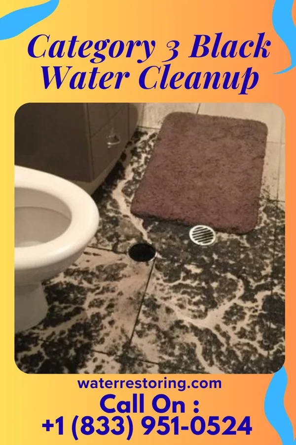 Category 3 Black Water Cleanup in Chesapeake, OH