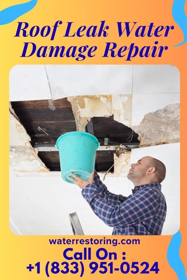 Roof Leak Water Damage Repair in Chesapeake, OH