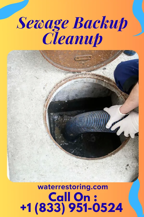 Sewage Backup Cleanup in Chesapeake, OH