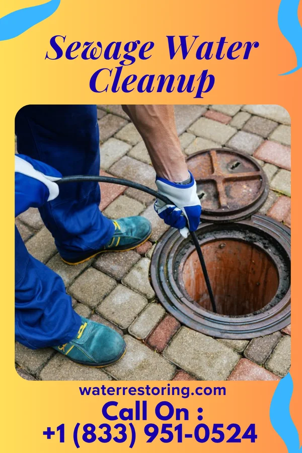 Sewage Water Cleanup in Chesapeake, OH